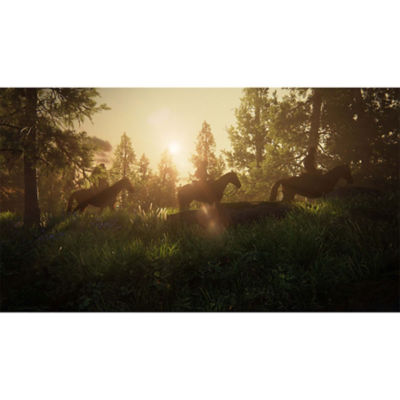 The Last of Us™ Complete: Collector’s Edition - PS5 Miniature 7