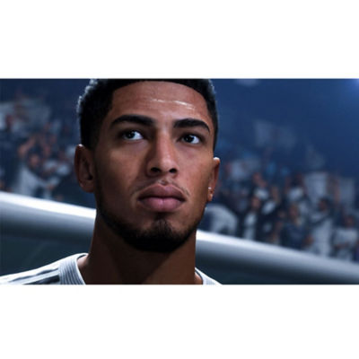 A close up of Bellingham