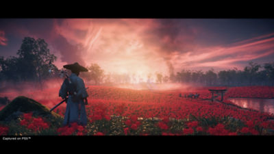 Ghost of Tsushima Director's Cut – Screenshot mit Jin umgeben von einer roten Blumenwiese
