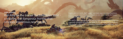Horizon Forbidden West screenshot with game overview