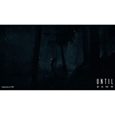 Until Dawn™ – PS5 Thumbnail 3